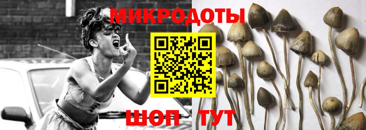 Псилоцибиновые грибы прущие грибы  Вход с VPN  Серпухов  Псилоцибиновые грибы Psilocybe 